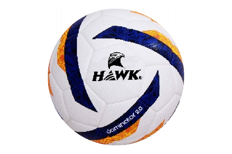 Soccer Balls Manufacturers India